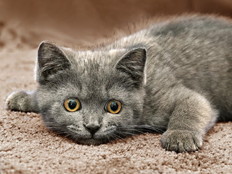 Similar image 21002463