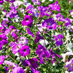 Similar image 21002584