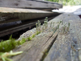 Similar image 20998445