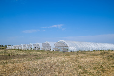 Similar image 20998992