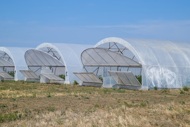 Similar image 20998994