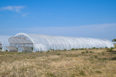 Similar image 20998995