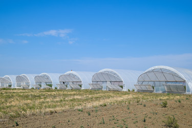 Similar image 20998996