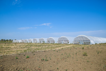 Similar image 20998997