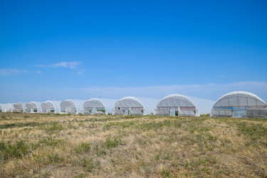 Similar image 20998998