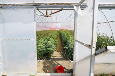 Similar image 20999003