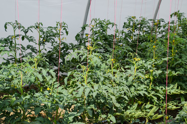 Similar image 20999005