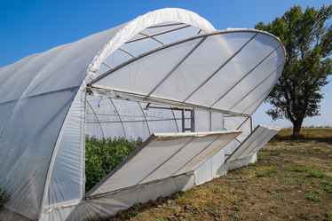 Similar image 20999007