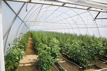 Similar image 20999008