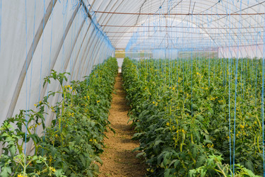 Similar image 20999010