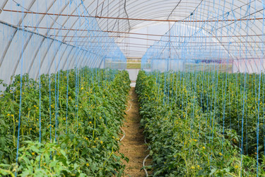 Similar image 20999011