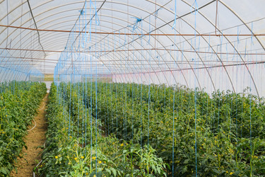 Similar image 20999012