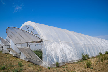 Similar image 20999021