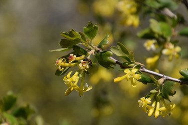 Similar image 20999022