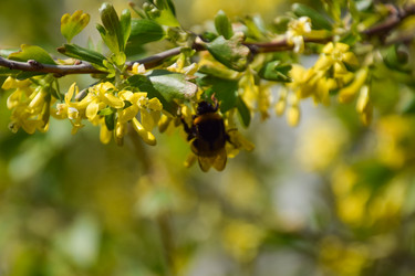 Similar image 20999024