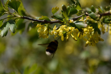 Similar image 20999025