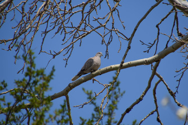 Similar image 20999026