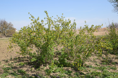 Similar image 20999027