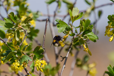 Similar image 20999028