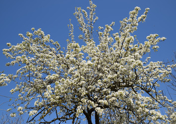 Similar image 20999030