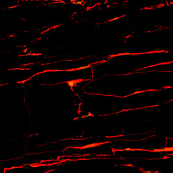 Similar image 21002256