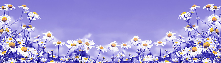 Similar image 21002306