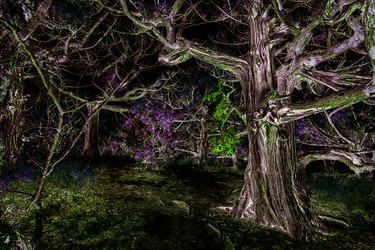 Similar image 21002312