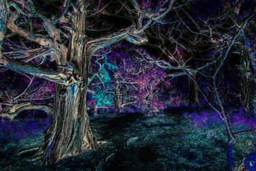 Similar image 21002313