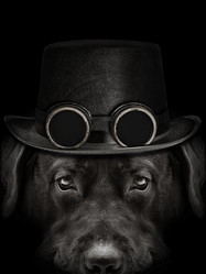 Similar image 21002314