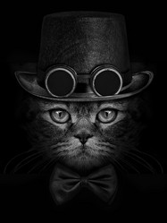 Similar image 21002406