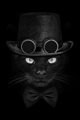 Similar image 21002408