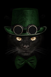 Similar image 21002409