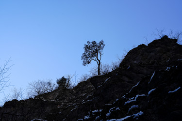 Similar image 20999083