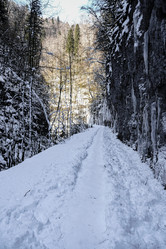 Similar image 20999297