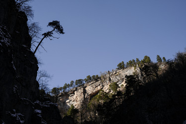 Similar image 20999309