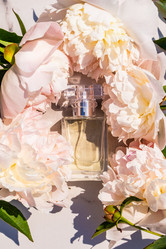 Similar image 20998462