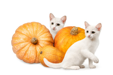 Similar image 20999830