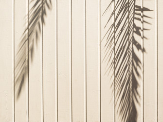 Similar image 20999930