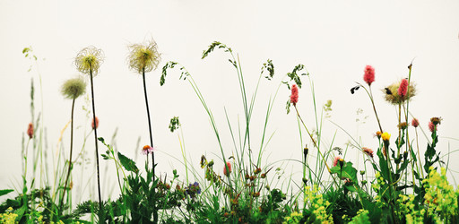 Similar image 20999956