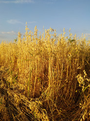 Similar image 20999836