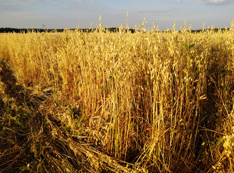 Similar image 20999837