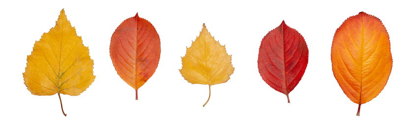 Similar image 21010056