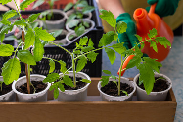 Similar image 20999975