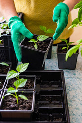 Similar image 20999977