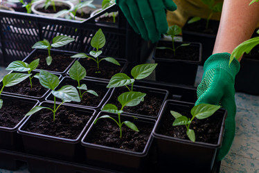 Similar image 20999981