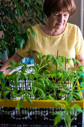 Similar image 20999983