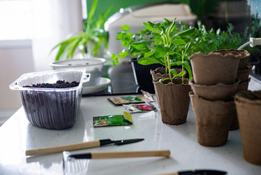 Similar image 20999987