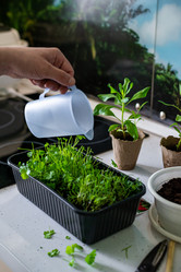 Similar image 20999988