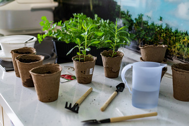 Similar image 20999990