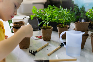 Similar image 20999991